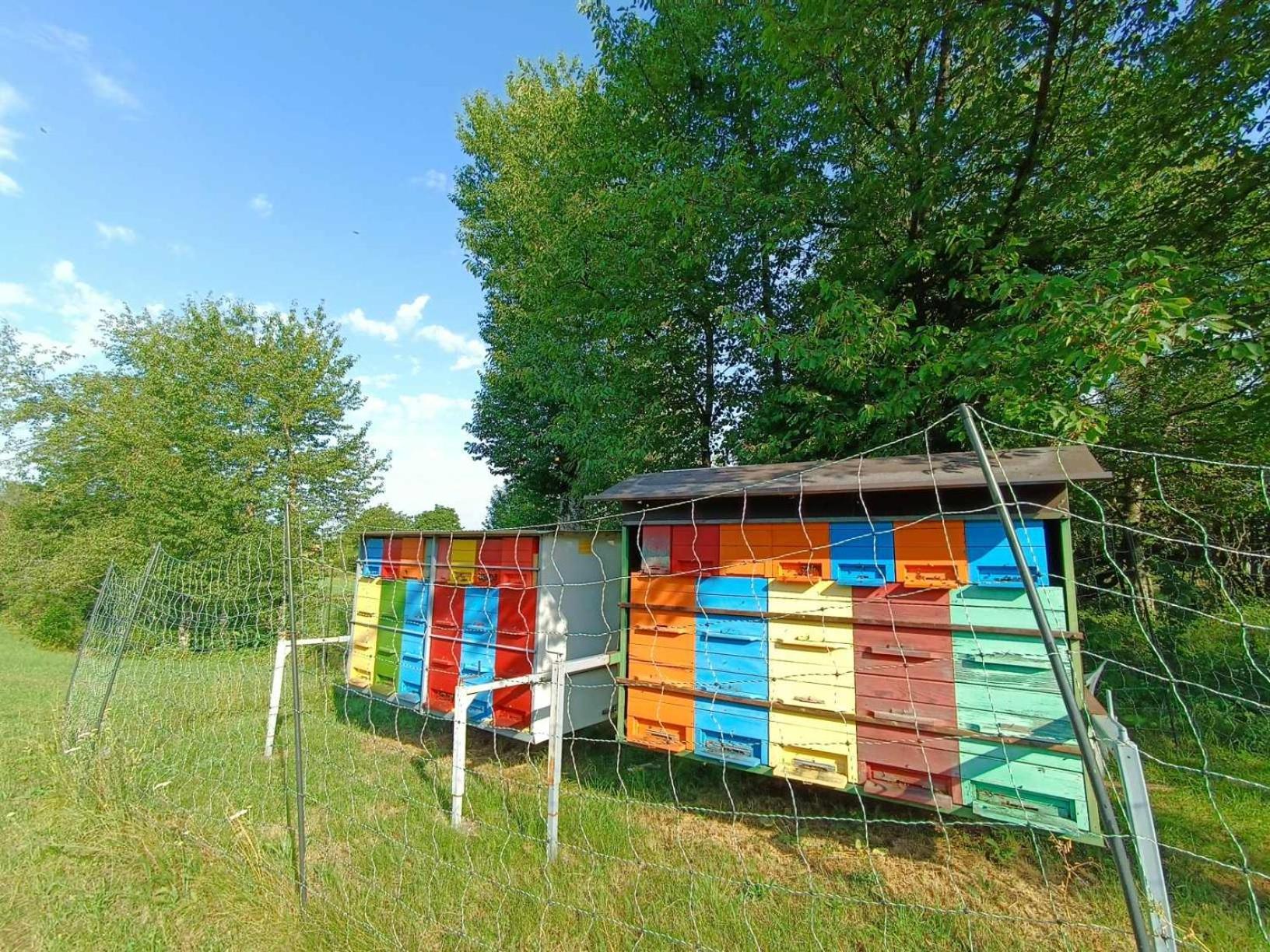 Apartma Mihatovi Appartement *